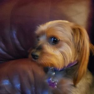 Meet your Posher, Deborah